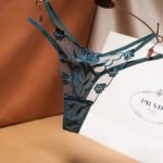 Sheer Mesh Floral Embroidered Lace Thong