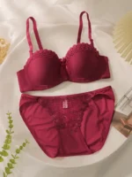 Lace Trim Push-Up Bra & Mesh Embroidered Thong Set - Image 22