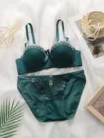 Lace Trim Push-Up Bra & Mesh Embroidered Thong Set - Image 21