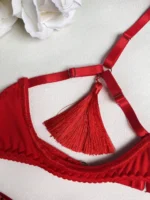 Red tassel and strap detail on sexy cut out lingerie bra